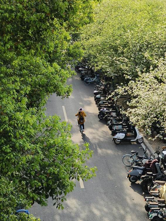 479ED47ADC46CCA57D63E0B8A994C9D7